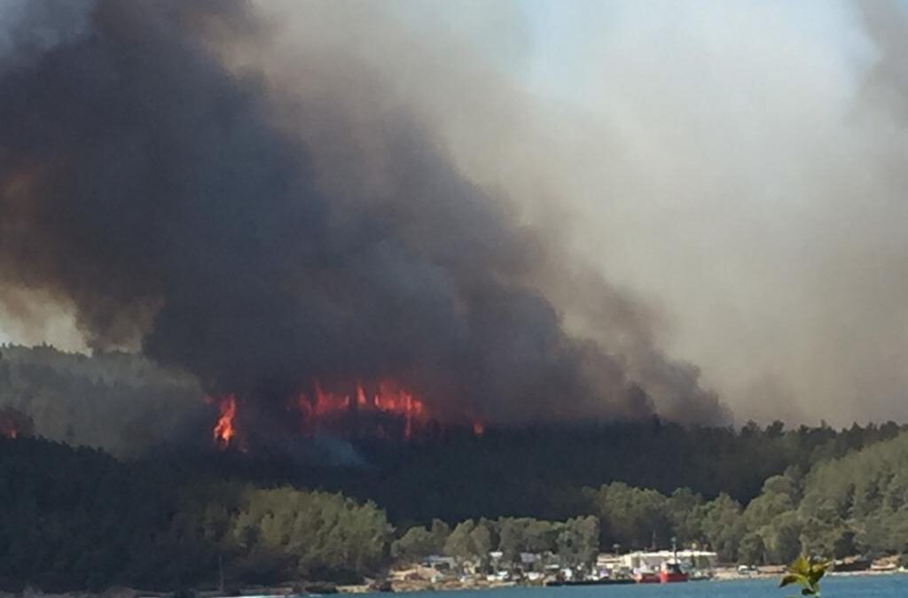 UN Climate Report: Code Red for Humanity