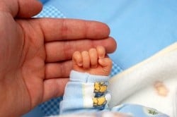 AUSTRALIA: Tough on the Outside – Marshmallow on the Inside