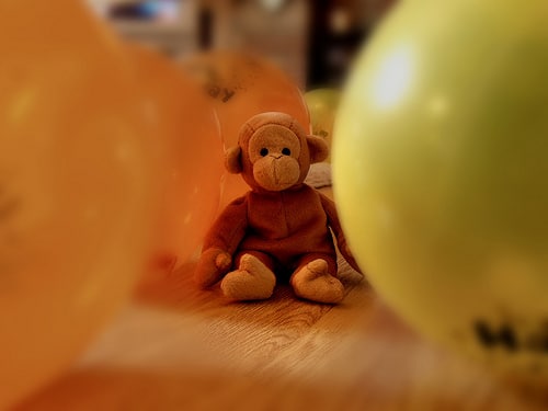 WORLD TOUR: NETHERLANDS: Gender Equality and Gender Neutrality