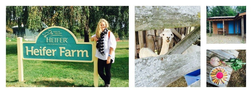 SOCIAL GOOD: A Hidden Gem, Heifer International’s Heifer Farm