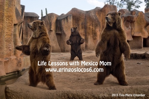 MEXICO: Life Lessons at the Zoo