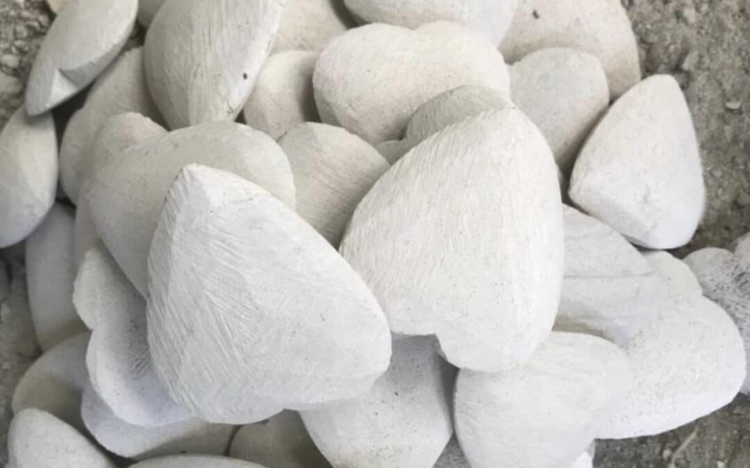 Haiti Earthquake: The Power of Sisterhood