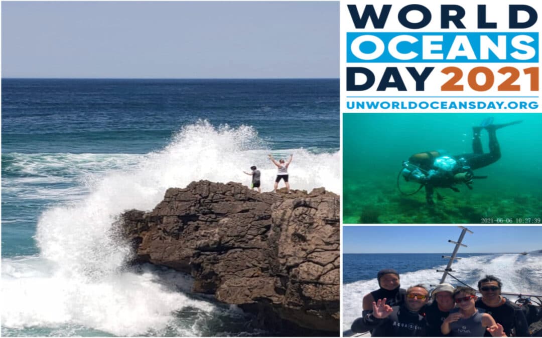 Above and Below: Celebrating on World Oceans Day