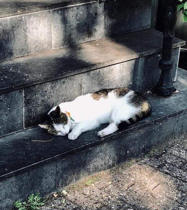 Sitting with my feelings