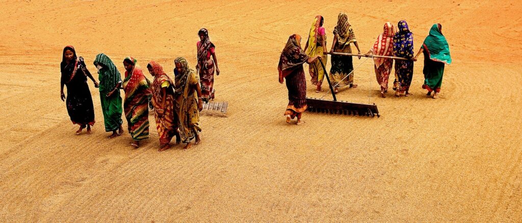 Women working in rice fields in Asia.